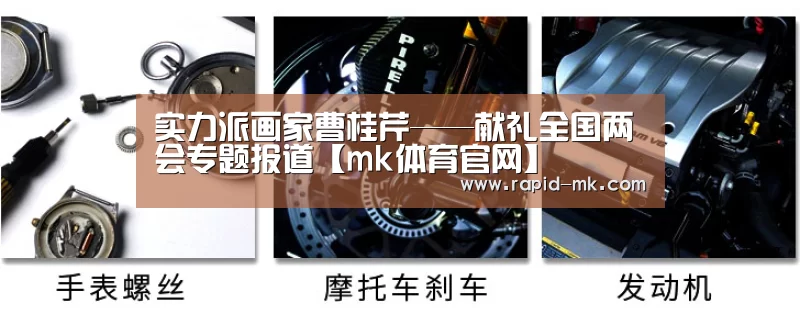 实力派画家曹桂芹——献礼全国两会专题报道【mk体育官网】(图2) mk sports