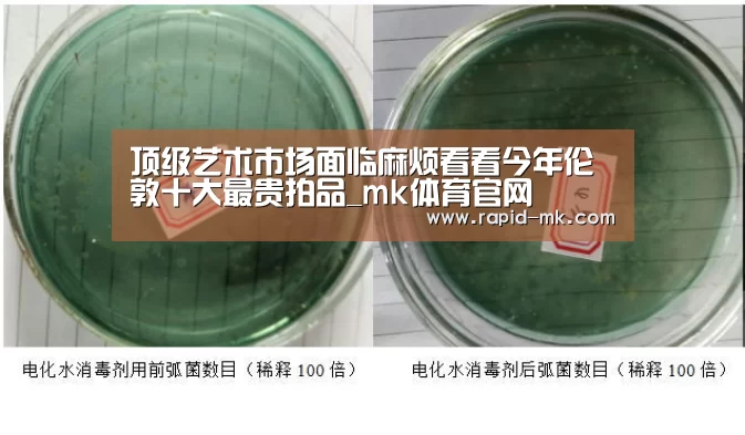 顶级艺术市场面临麻烦看看今年伦敦十大最贵拍品_mk体育官网(图2) mk体育品牌站点