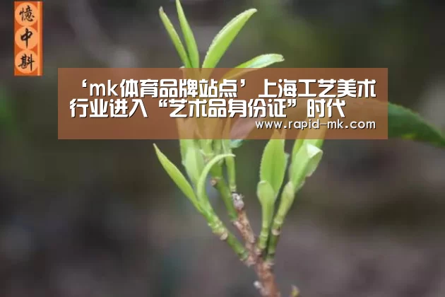 mk体育品牌站点