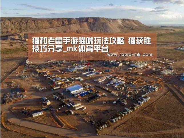 mk sports