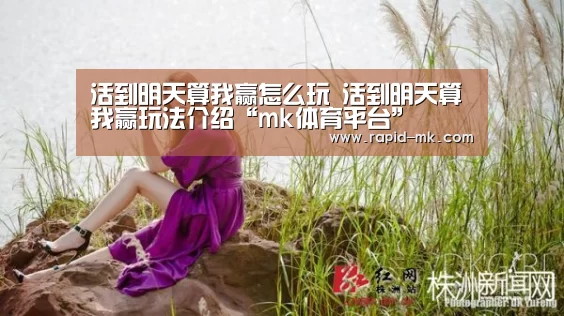 mk体育品牌站点